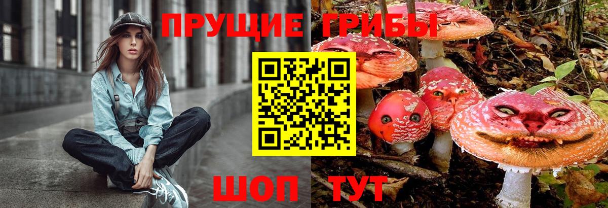 Гусев  Галлюциногенные грибы прущие грибы  Галлюциногенные грибы GOLDEN TEACHER  Вход с VPN 
