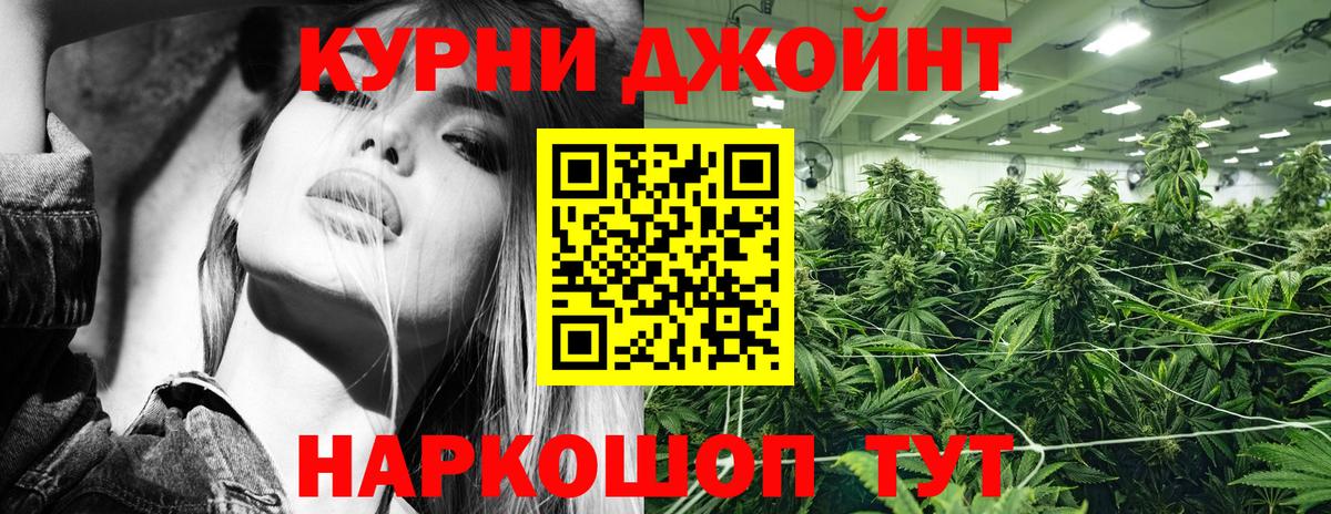 Конопля семена Гусев